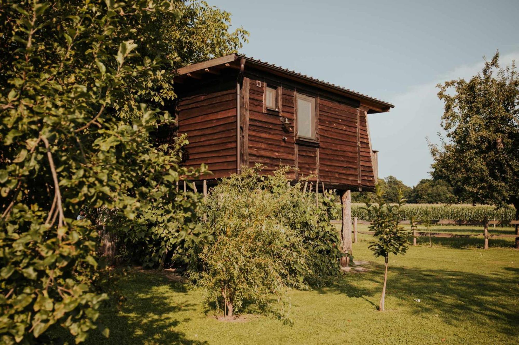 Treehouse Drevesna Hiska Strkovo Gnezdo Ranc Jures Hotel Ljutomer Exterior photo