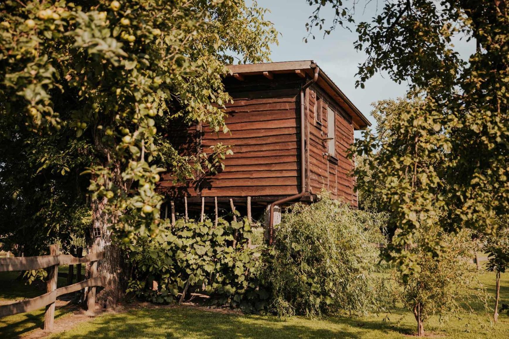 Treehouse Drevesna Hiska Strkovo Gnezdo Ranc Jures Hotel Ljutomer Exterior photo